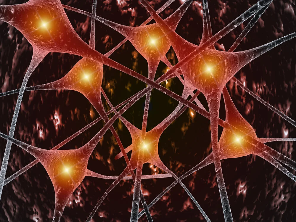 Alzheimer’s and Brain Awareness Month