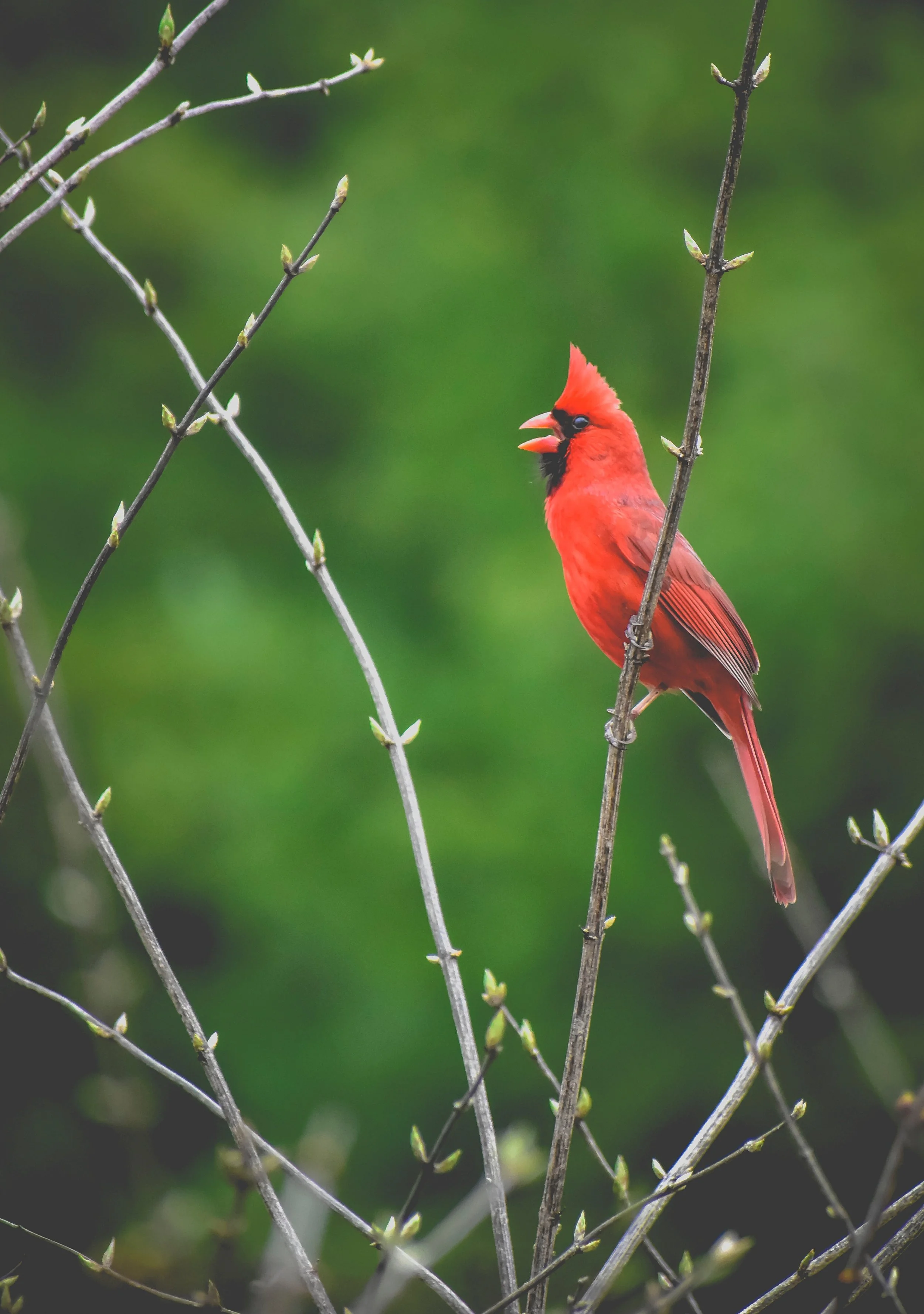 Reflection “Faith is the bird that feels the light and sings when the dawn is still dark.” –Rabindranath Tagore Prayer Faithful God, In the ministry we share together, it can be hard sometimes to see the fruit of our labor. The da