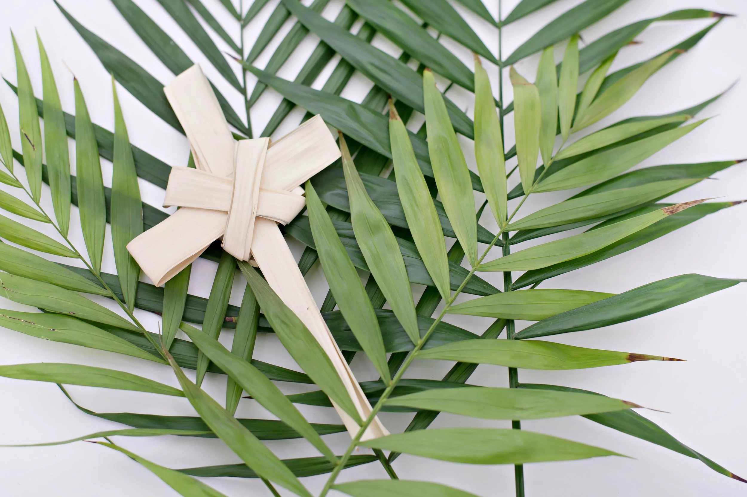 Palm Sunday