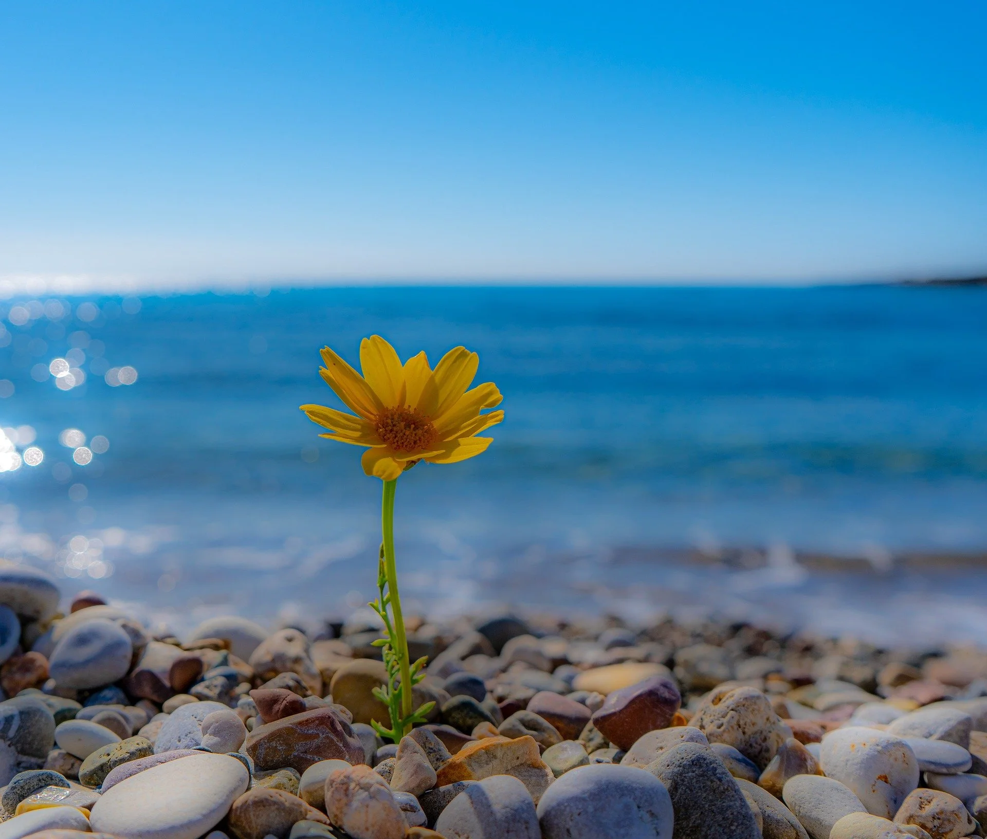      

 
    Reflection   “Easter is a time when God turned the inevitability of death into the invincibility of life.”  –Craig D. Lounsbrough   Prayer   Author of life,  Mindful that we are still in the season of Easter, we pause today and marvel at