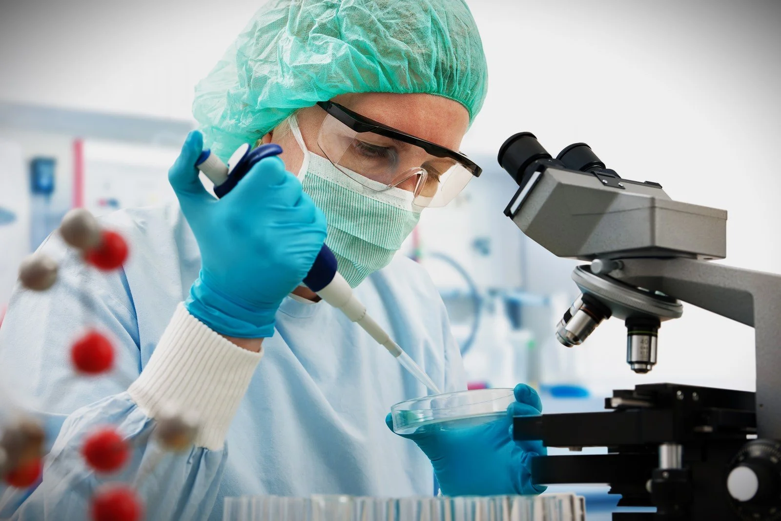 Healthcare Quality and International Infection Prevention Week