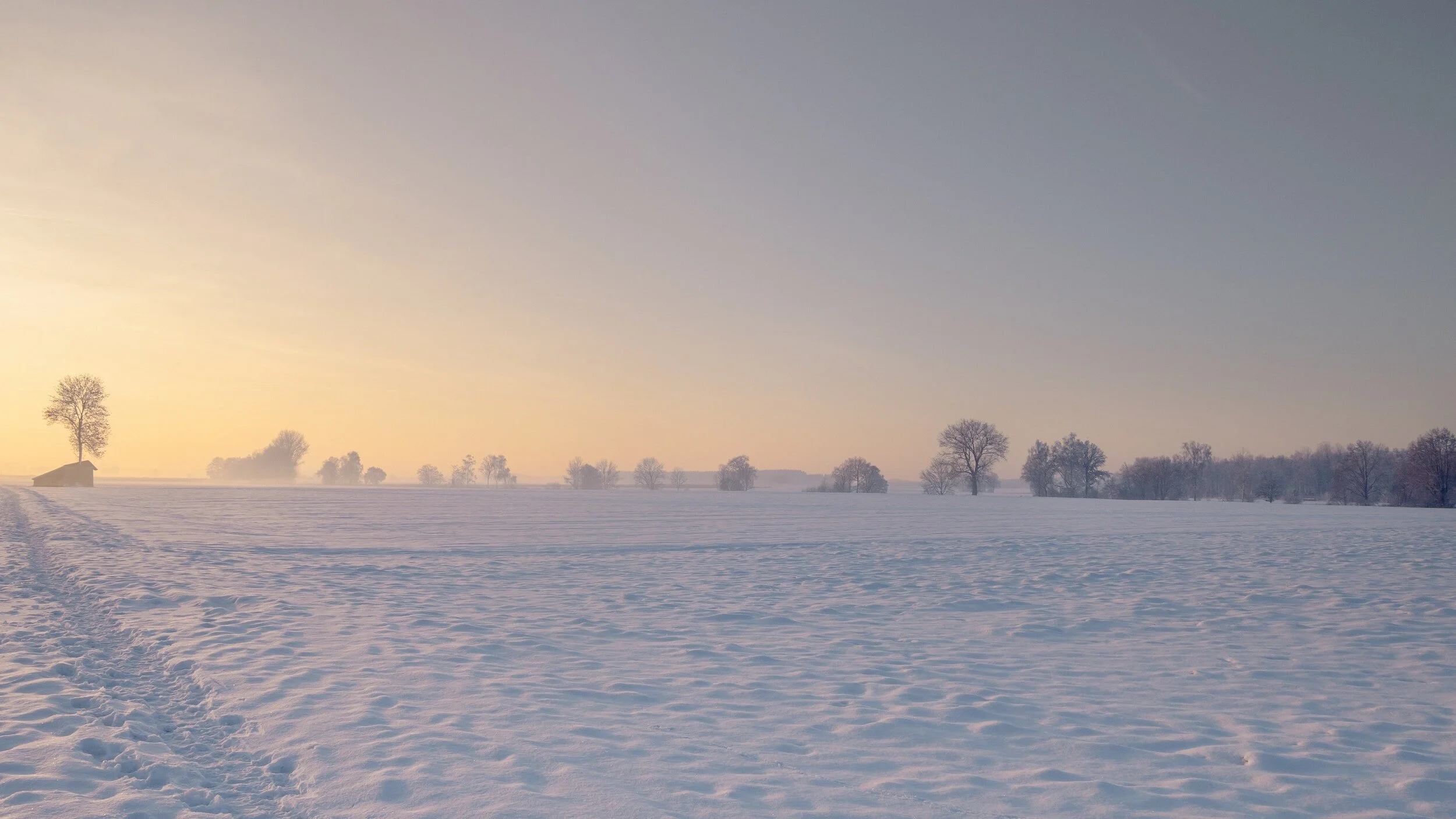      

 
    Reflection   “Harmony with land is like harmony with a friend; you cannot cherish his right hand and chop off his left.”–Aldo Leopold   Prayer   Creator God,  As we answer your call to steward creation wisely, help us lean into the princ