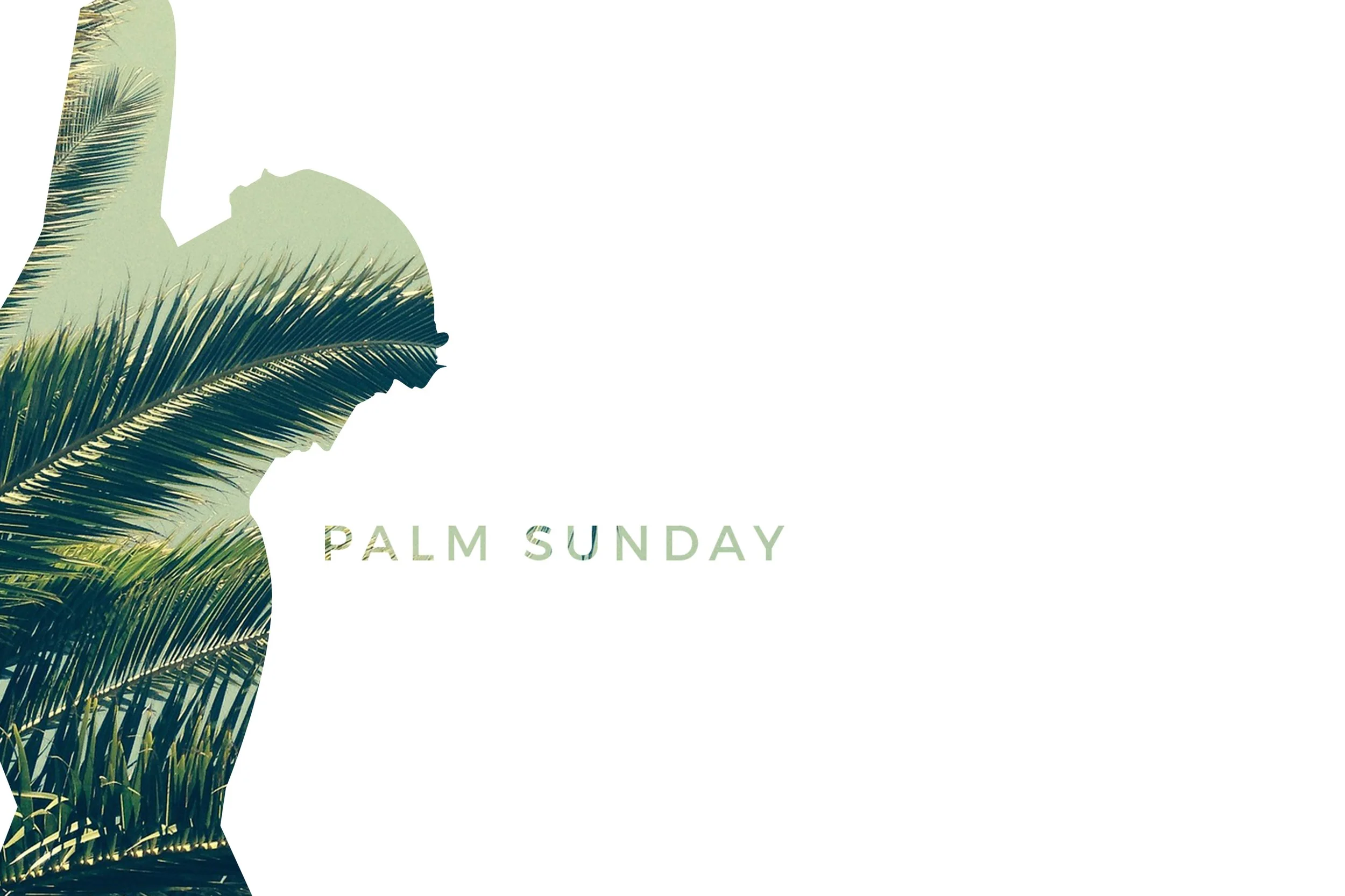      

 
     Palm Sunday      Reflection  
 




















  
  



     
  
        
  
 
    

 
   “I have set my face like flint, knowing that I shall not be put to shame.” –Isaiah 50:7   Prayer   Spirit of love,  Today, as your Church beg