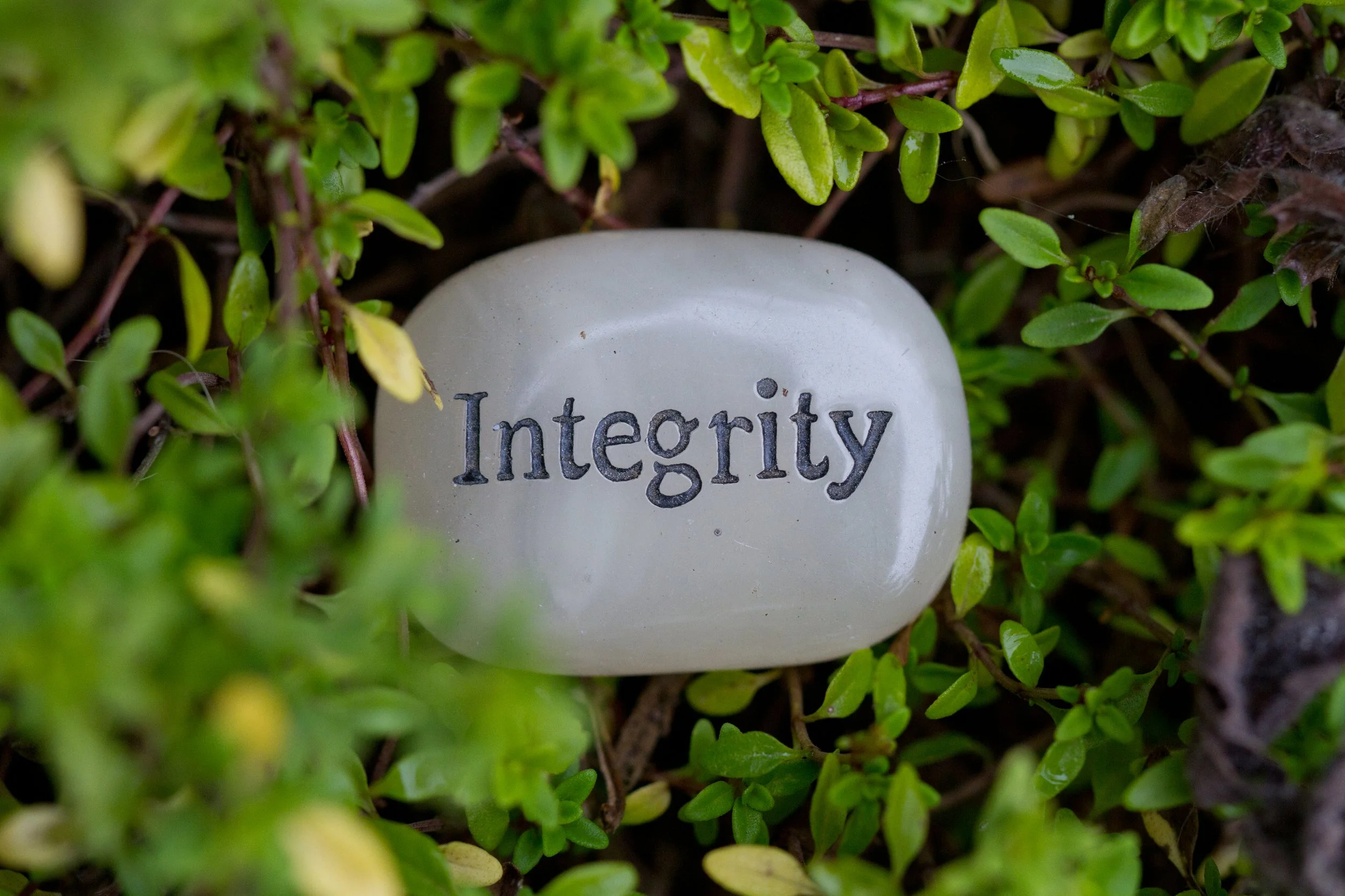 Reflection   “Live in such a way that if someone speaks badly of you, no one would believe it.” –Kate Spade    Prayer   Ever-true God,  Our integrity as a ministry depends on the conscientiousness of every single associate we have the pr