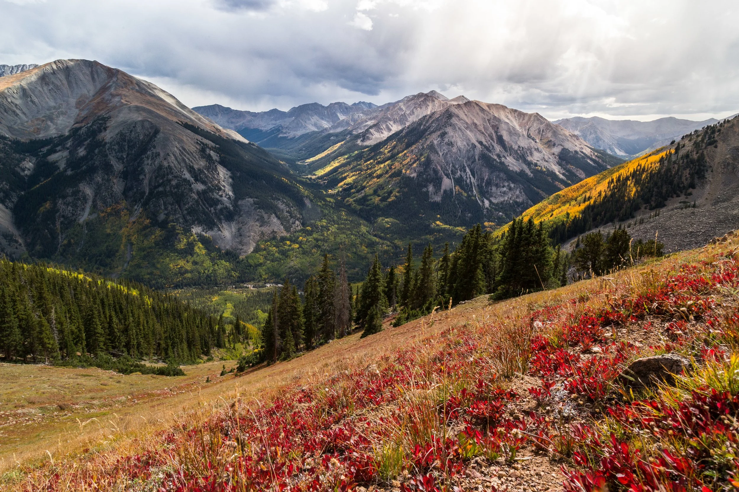      

 
    Reflection   “We shall awaken from our dullness and rise vigorously toward justice. If we fall in love with creation deeper and deeper, we will respond to its endangerment with passion.” –Hildegard of Bingen   Prayer   Good Creator,  As 