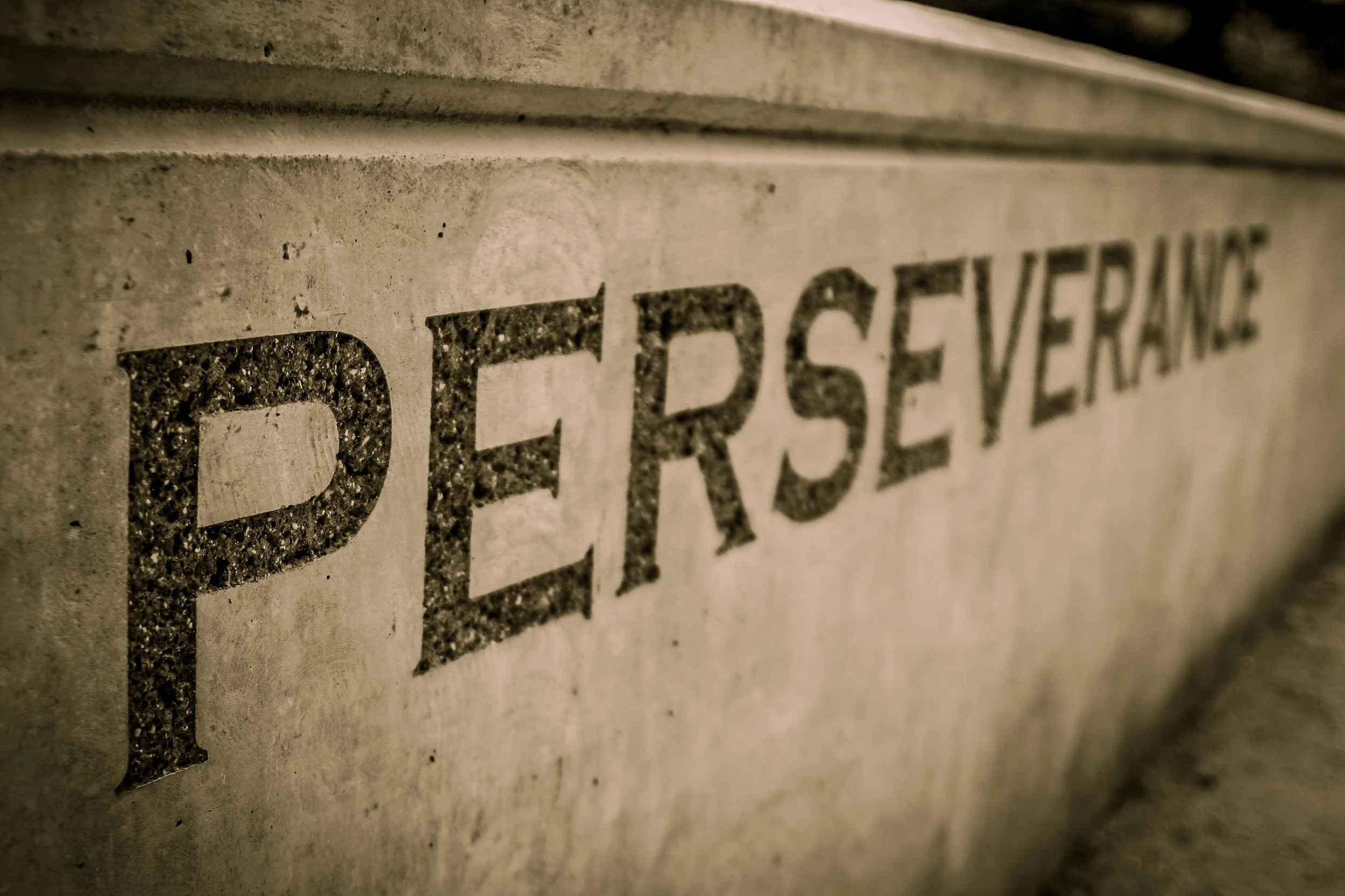 Reflection   “Never give up on something that you can’t go a day without thinking about.”   ~ Winston Churchill   Prayer   God of guidance,  There are times when our minds seem to be endlessly fixed on a problem or solution we can’t quit