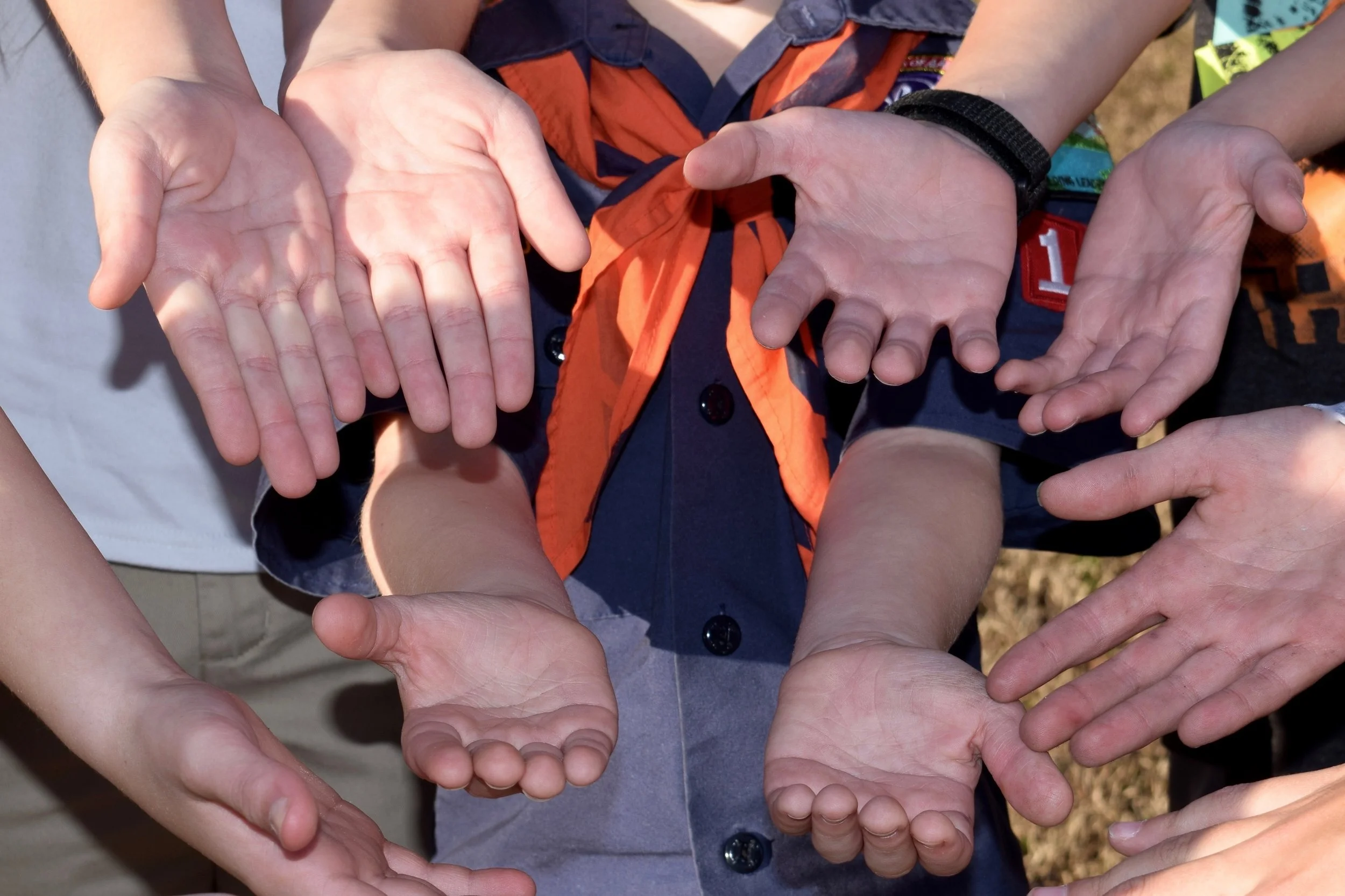 Reflection   “When we try to pick out anything by itself, we find it hitched to everything else in the universe.”   ~John Muir   Prayer   God of unity,  You created us to love and serve one another, building a world where all can fl