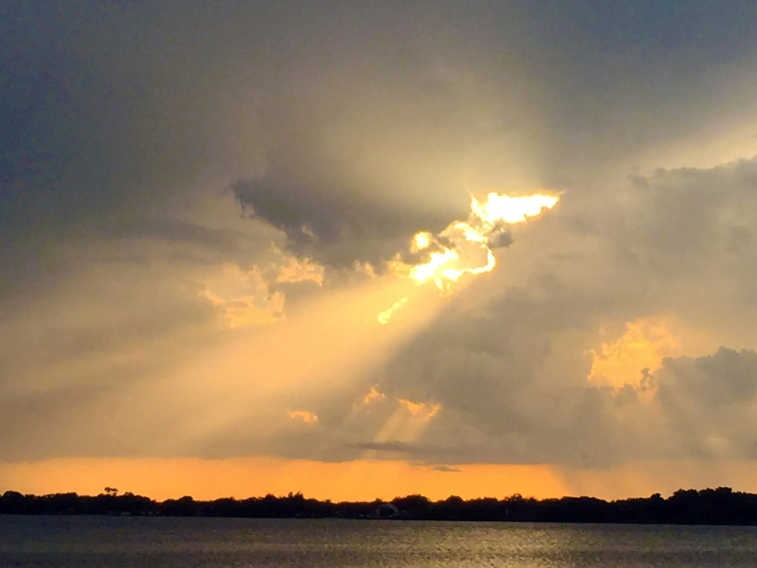      

 
    Reflection   “My mission in life is not to merely survive, but to thrive; and to do so with some passion, some compassion, some humor, and some style.” ~ Maya Angelou   Prayer   God, source of our mission,  You call each of us to use our