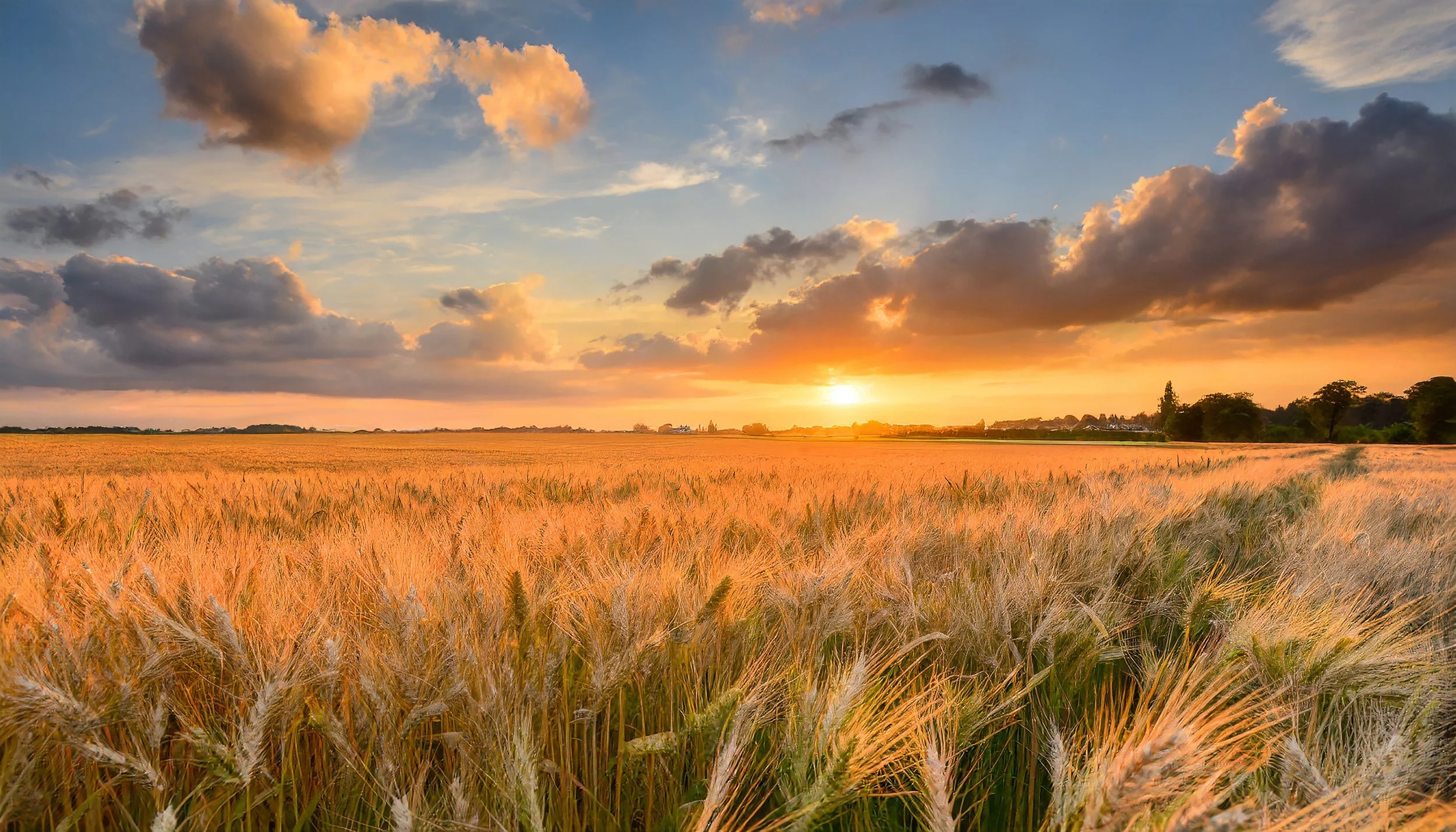      

 
    Reflection    “Unless a grain of wheat falls into the earth and dies, it remains just a single grain; but if it dies, it bears much fruit.” ~John 12:24   Prayer   Eternal God,  As spring unfolds before us, we marvel at the transformation