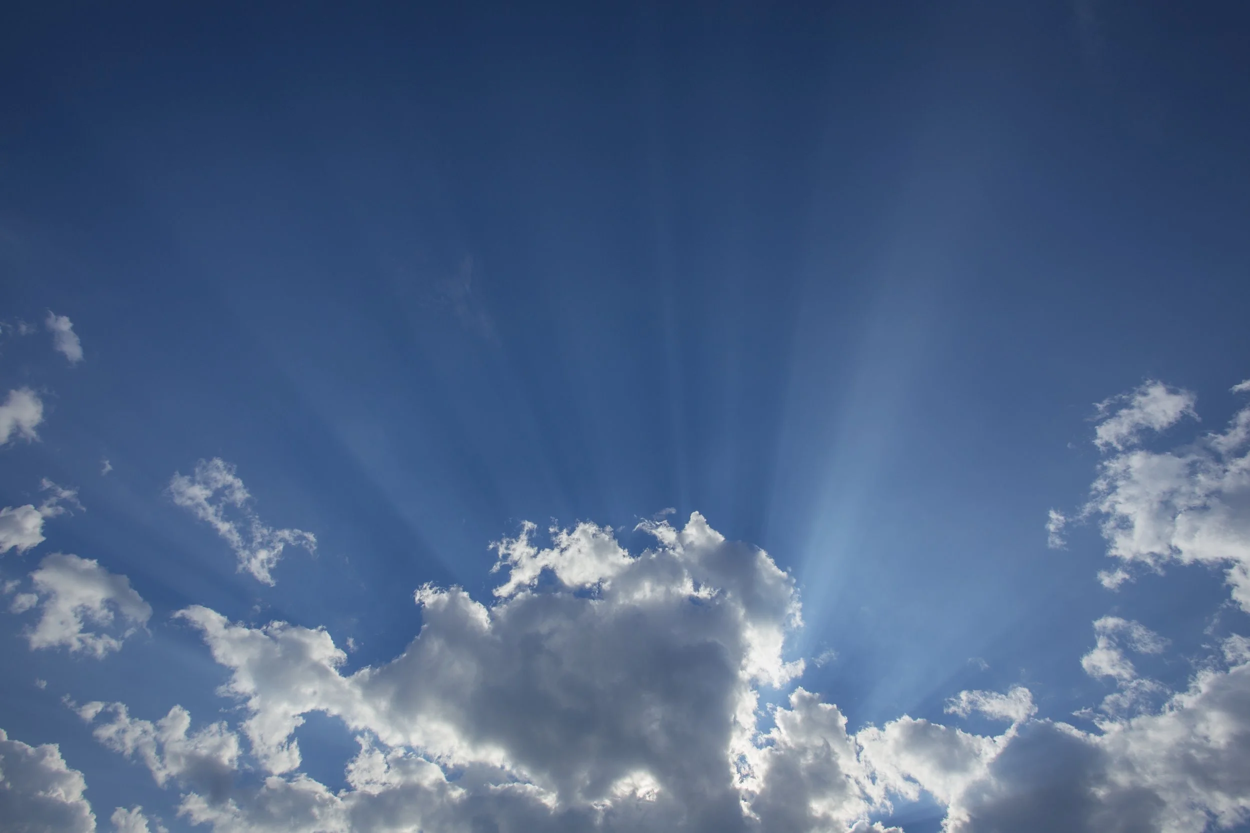 Reflection “We have so many allies in this world, including just the color blue in the sky.” –David Whyte Prayer God of peace, When it feels like we’re alone in the world and wanting for a sign of support, help us return to your c