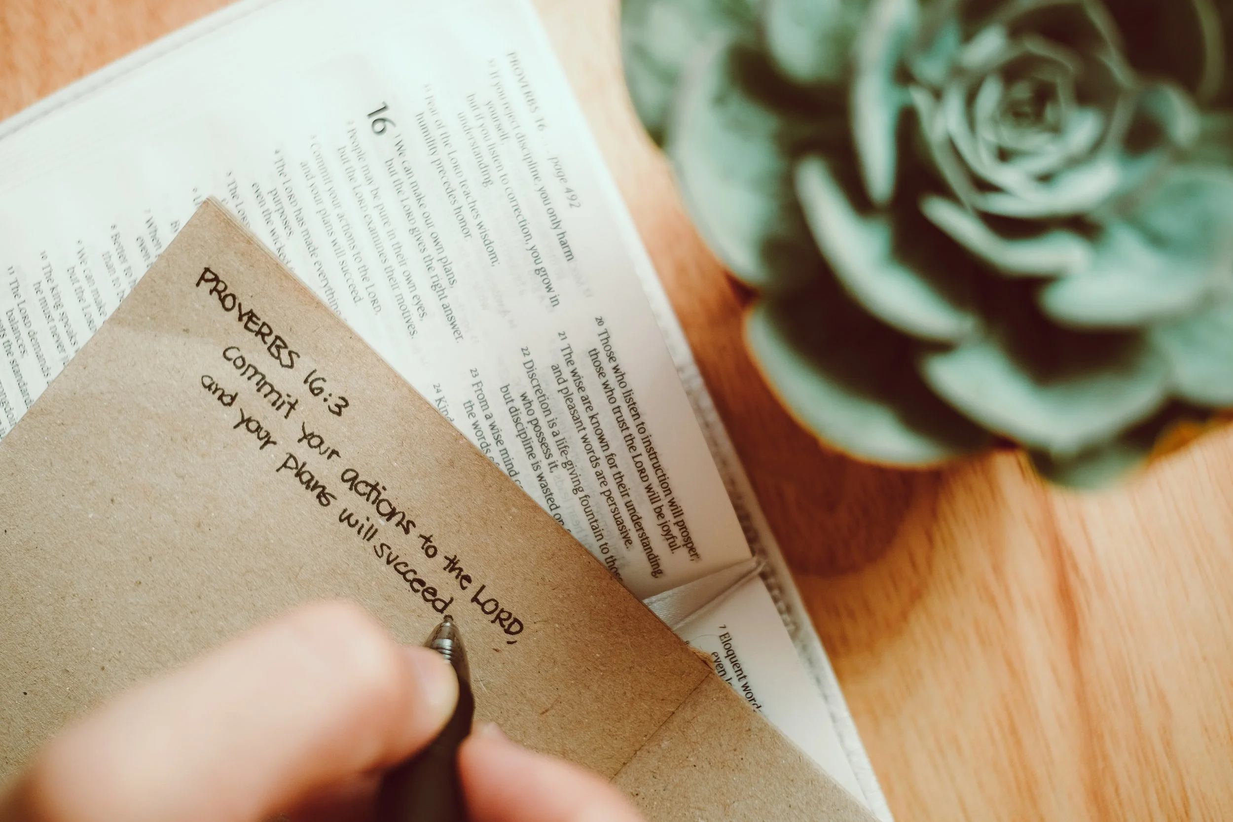      

 
    Reflection   “It is no measure of health to be well adjusted to a profoundly sick society.” –Jiddu Krishnamurti   Prayer   God of wholeness,  You call us to faithfulness even when the world goes astray. As a ministry committed to the hea