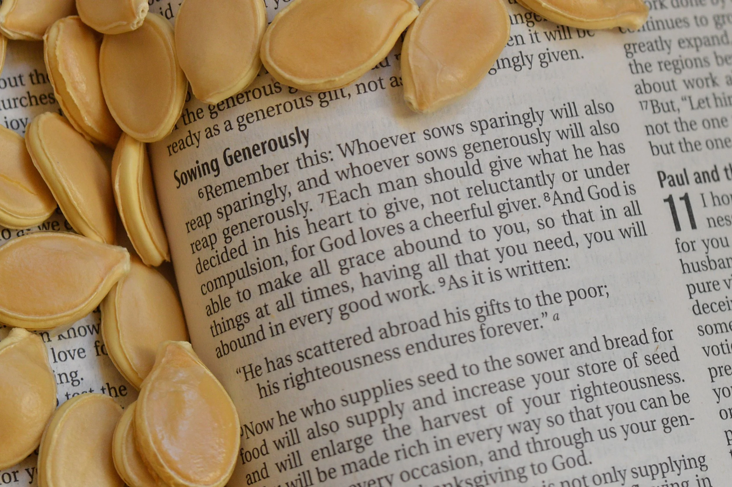Reflection “Whoever sows sparingly will also reap sparingly, and whoever sows bountifully will also reap bountifully.” – 2 Corinthians 9:6 Prayer God of abundance, Teach us to sow generously with our time, our love, and our gifts,