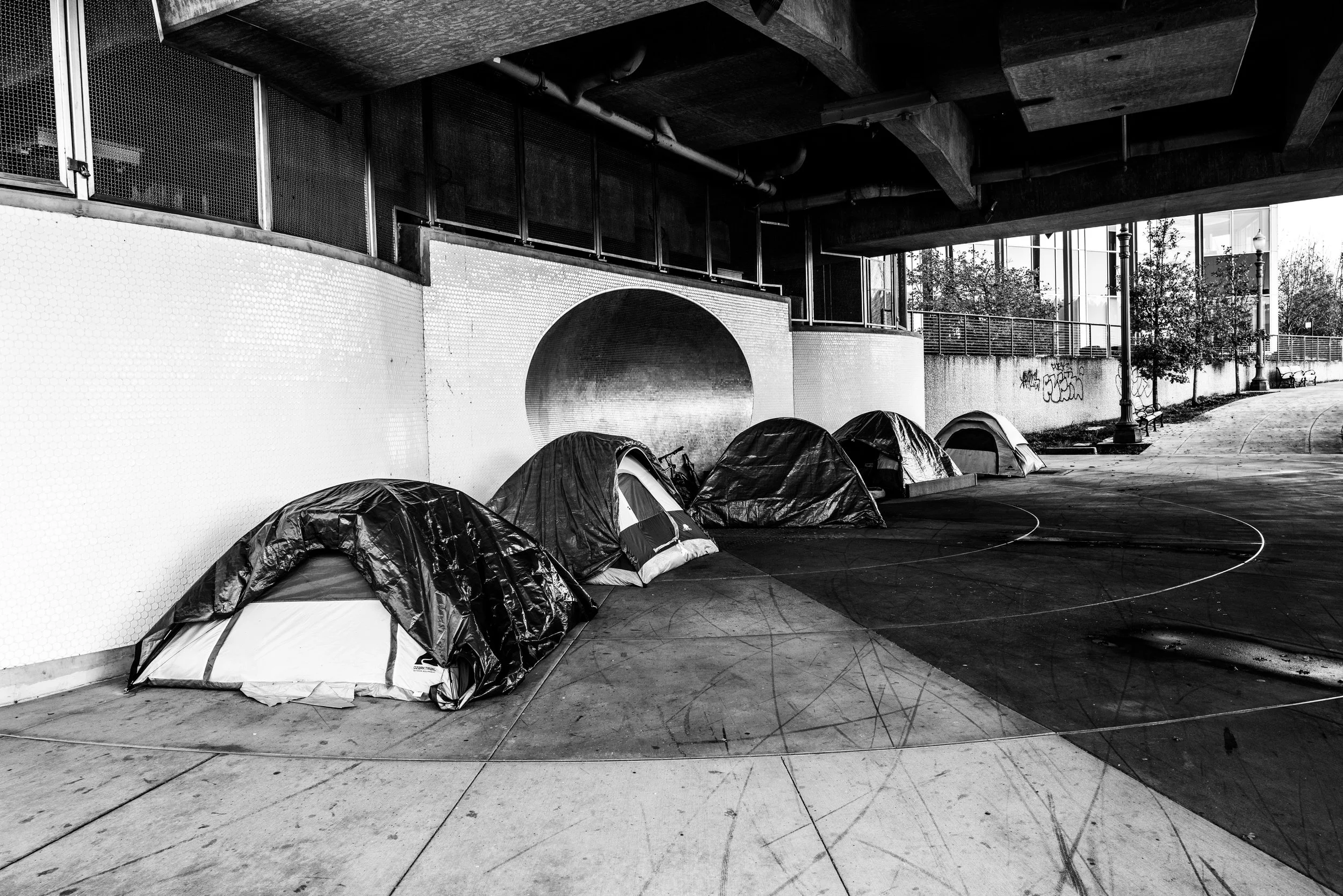 Reflection “Love for the poor – whatever the form their poverty may take – is the evangelical hallmark of a Church faithful to the heart of God.” –Pope Leo XIV Prayer God over all, In fidelity to your heart and your son’s example,