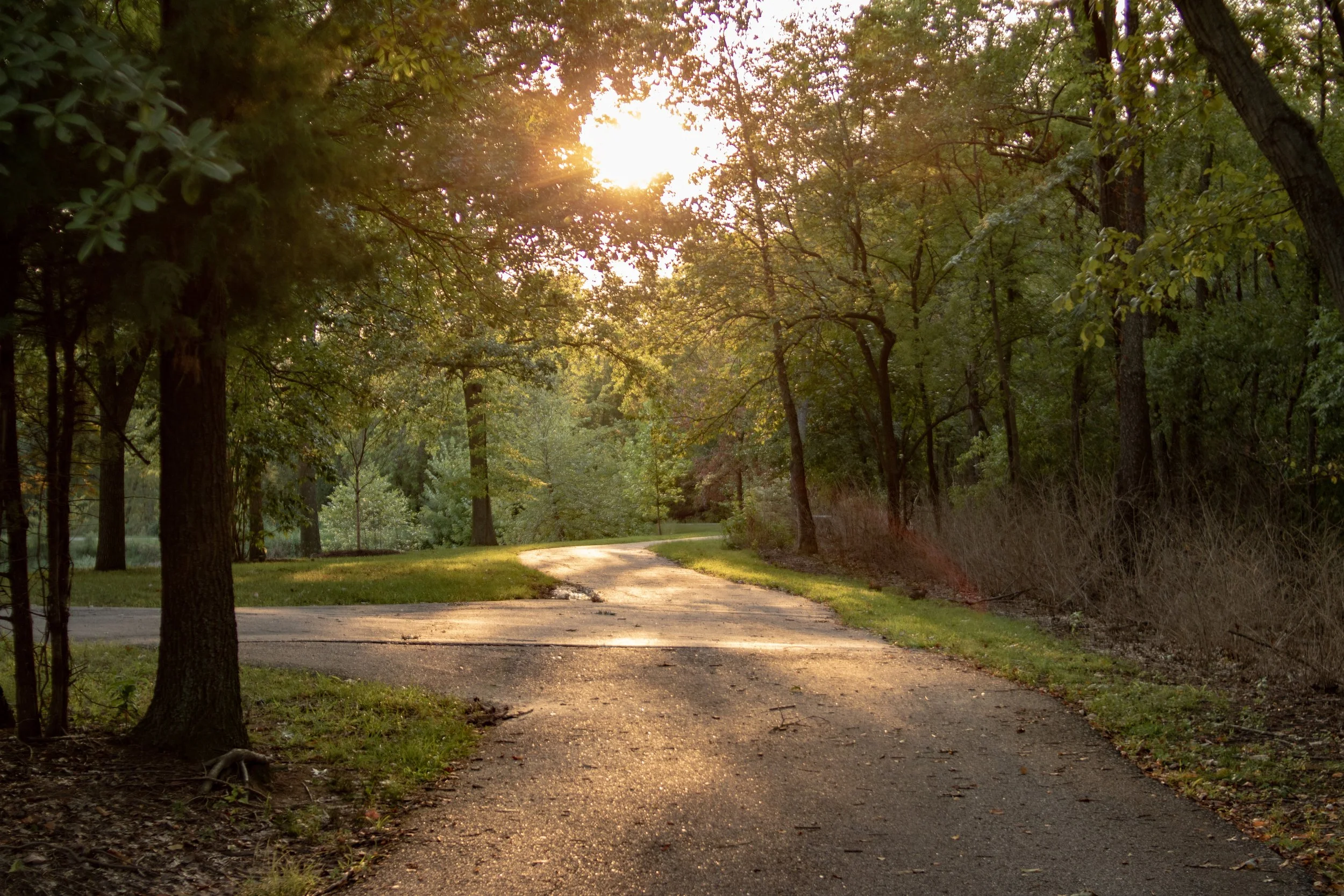      

 
    Reflection   “Show me the path I should walk, for I entrust my life to you.” -Psalm 143:8   Prayer   God of guidance,  Lead us in the way we should go, especially when the way feels uncertain. Teach us to entrust our lives fully to you, 