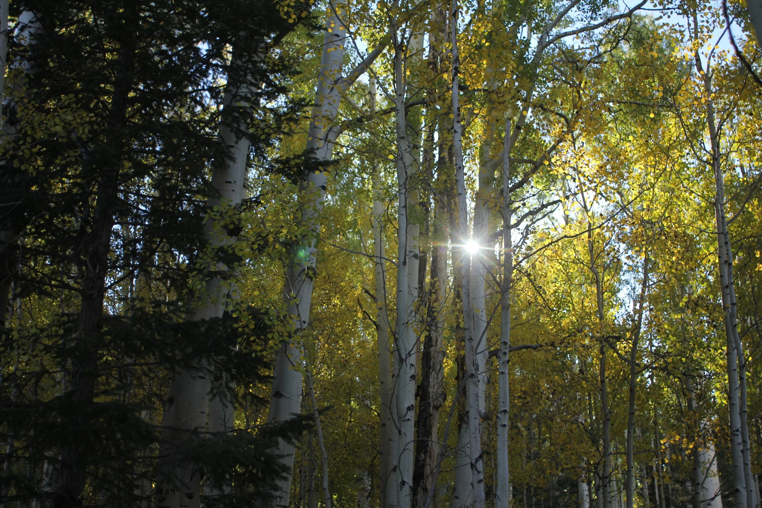      

 
    Reflection   “Innovation opportunities do not come with the tempest but with the rustling of the breeze.”   –Peter Drucker   Prayer   Loving God,  We work hard to provide high-quality, compassionate care for people in need. As we are alw