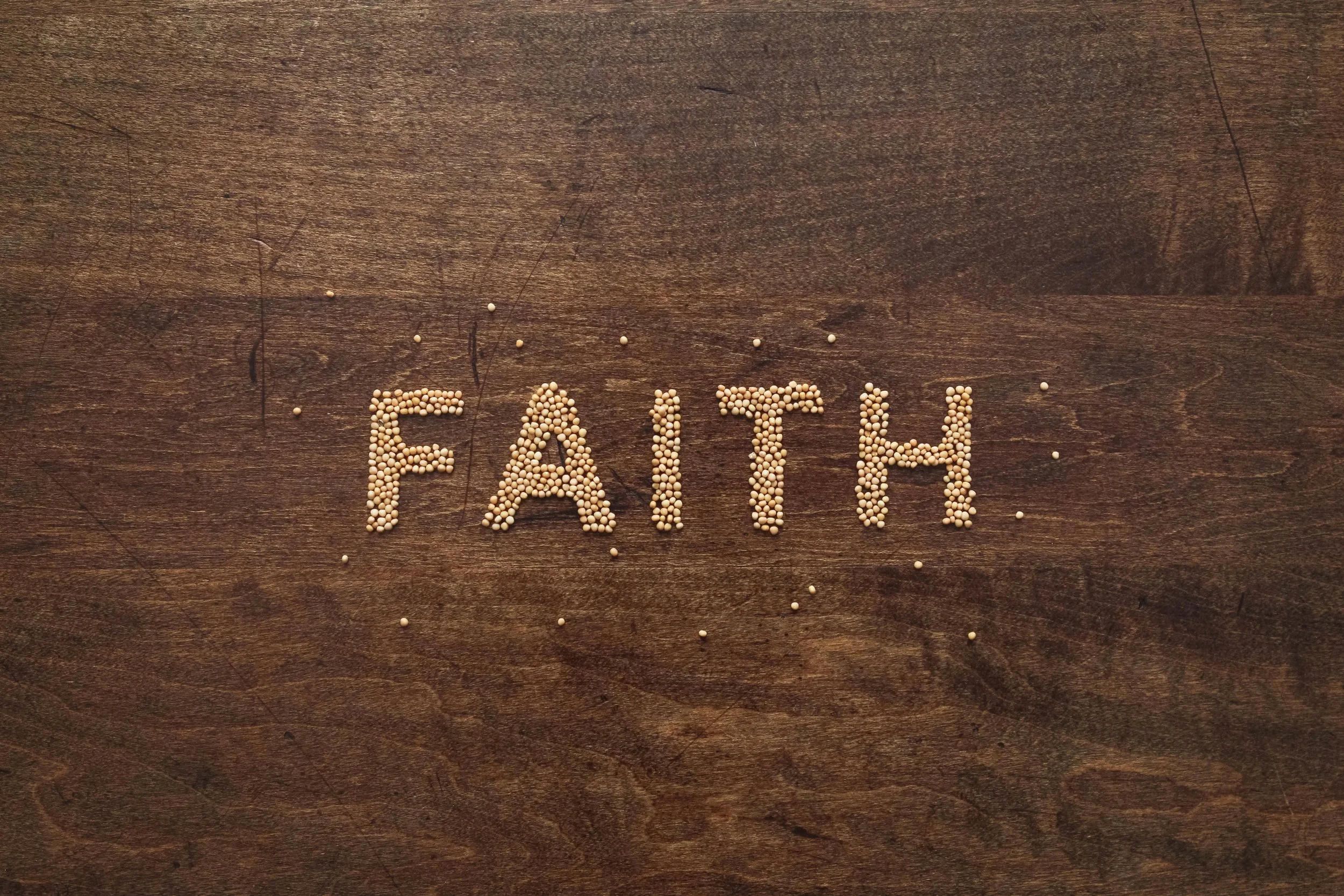      

 
    Reflection   “Jesus said, ‘What is the Kingdom of God like? To what can I compare it? It is like a mustard seed that a man took and planted in the garden. When it was fully grown, it became a large bush and the birds of the sky dwelt in 