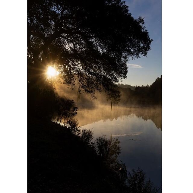 Happy Earth Day! 🌎🌲🦋🌍 We miss this community terribly and pray that you and your families are safe and healthy today, and always.  Through this rare and unprecedented opportunity, we're relying on the nurturing power of self-care to cope with unc