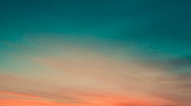 Screen Shot 2018-12-11 at 1.52.26 PM.png