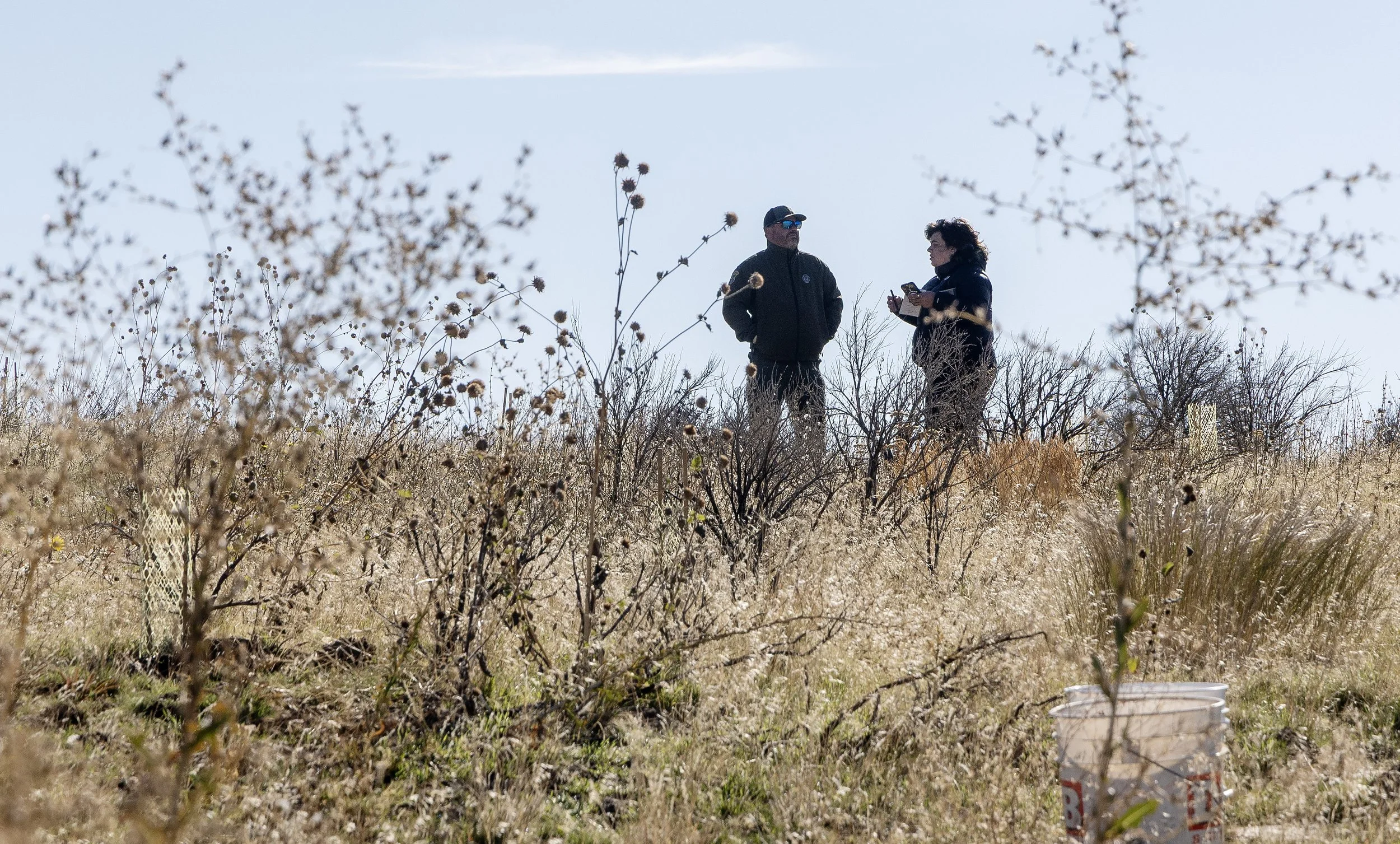 1016 20 prison sagebrush.jpg