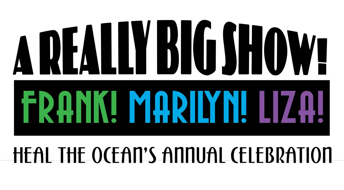 logo-Big-Show-48x26.5-poster.jpg