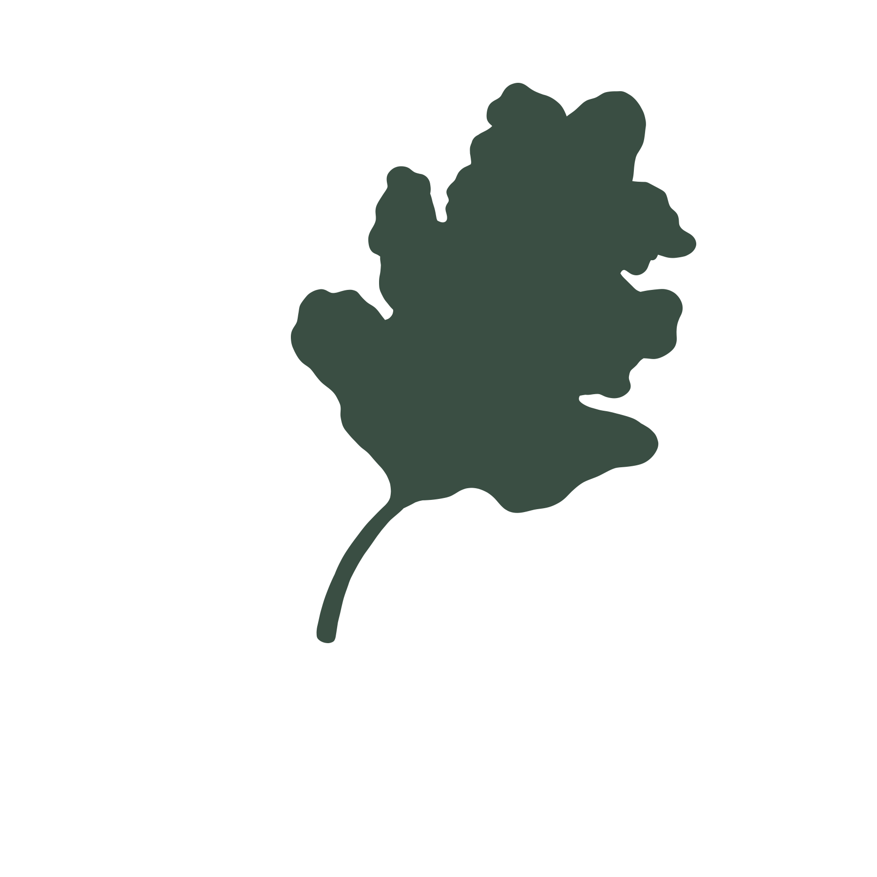 0319-bk-veggies-animation-kale.gif