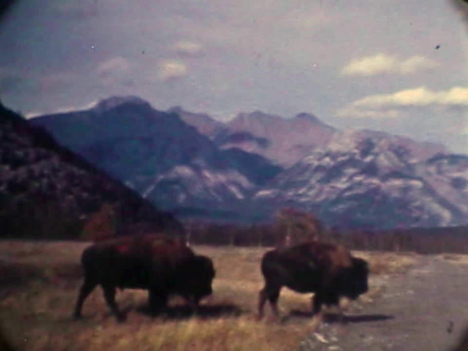 Mountains Still 04.png