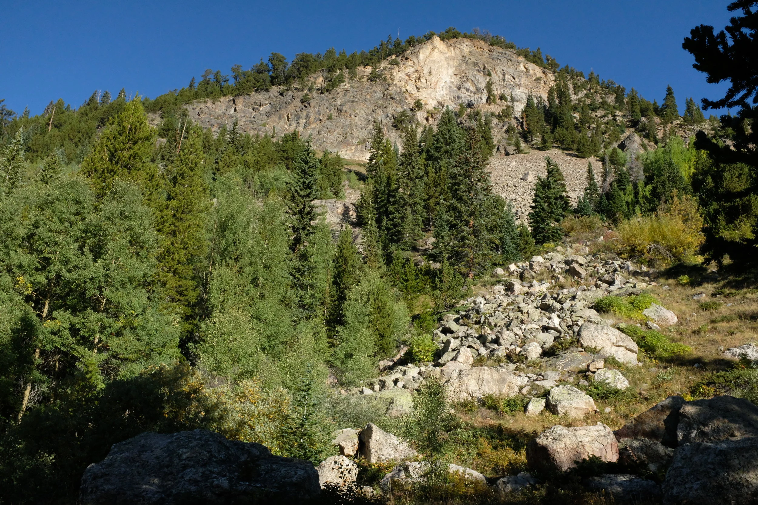 DSCF0527.jpg
