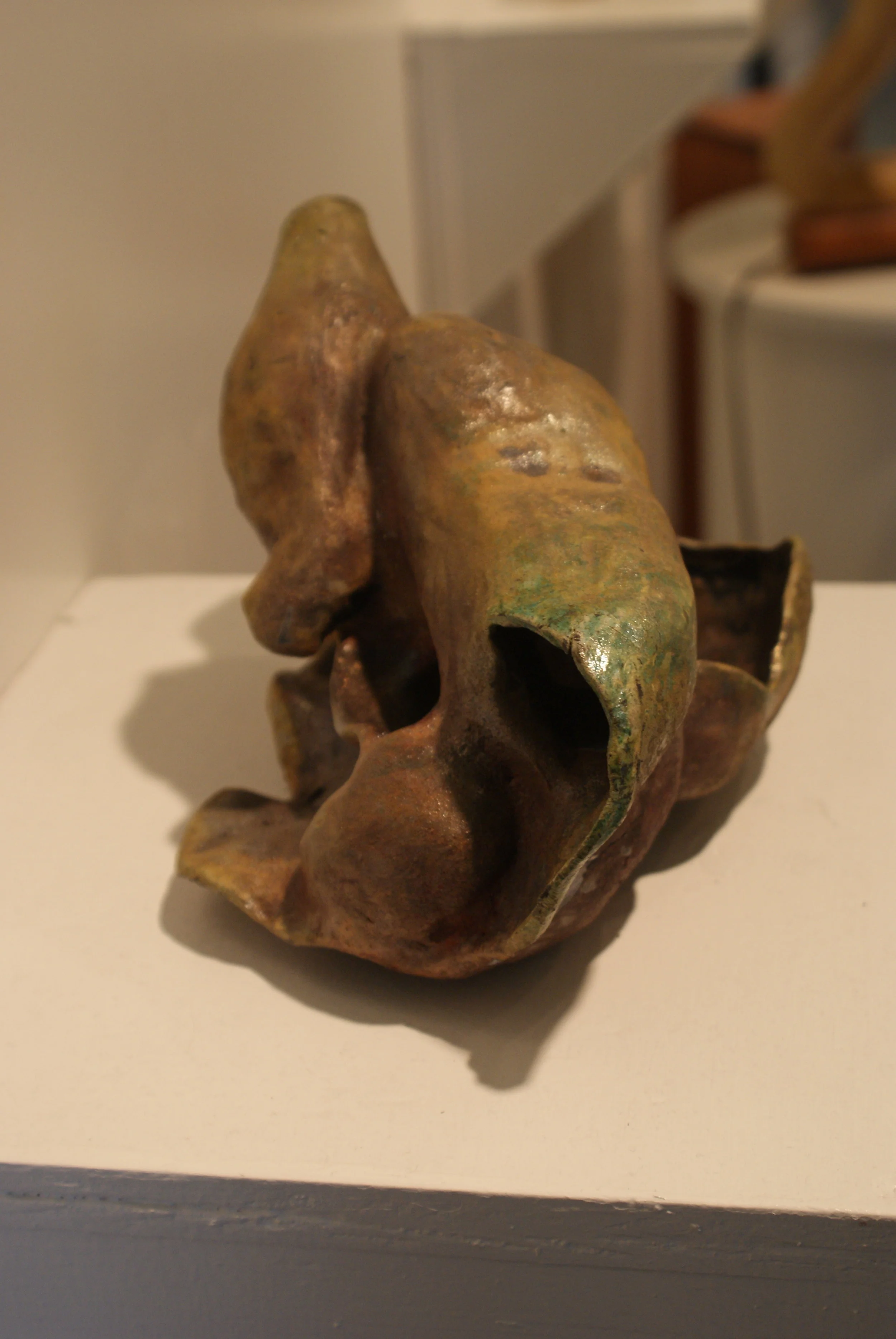 DSC02782.jpg
