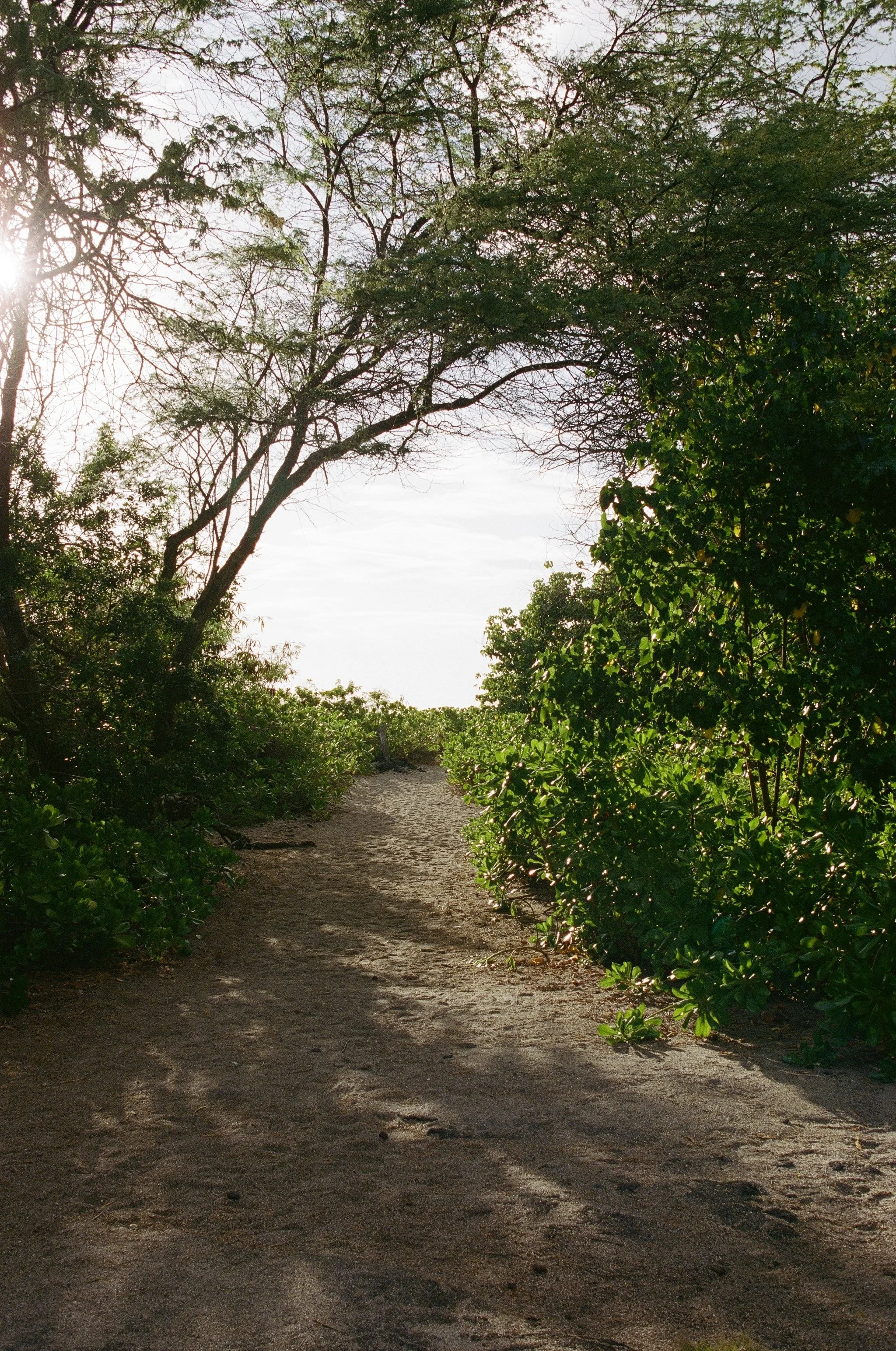 103559_0001.jpg