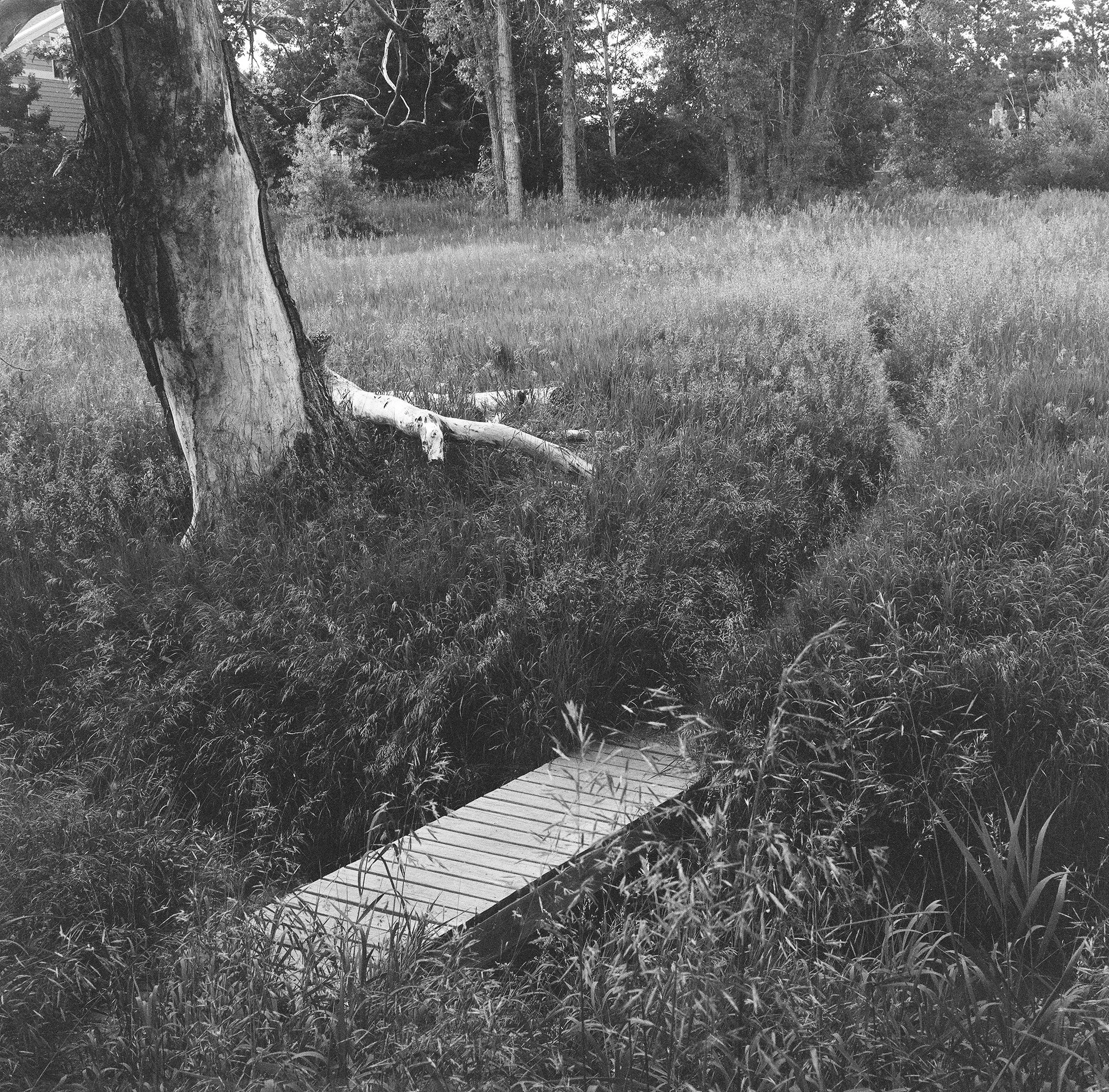 103571_0002.jpg