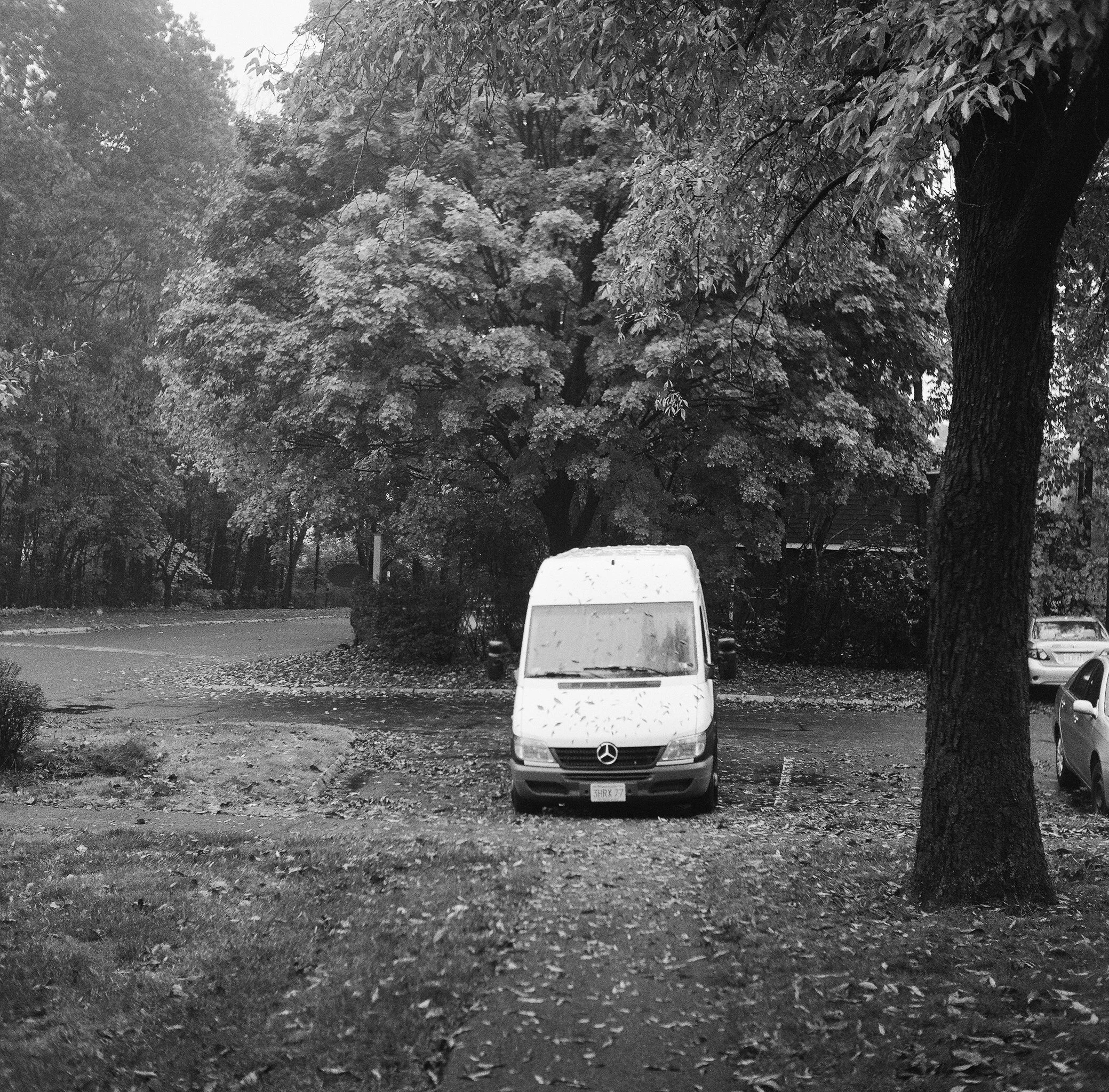 597704_0009.jpg