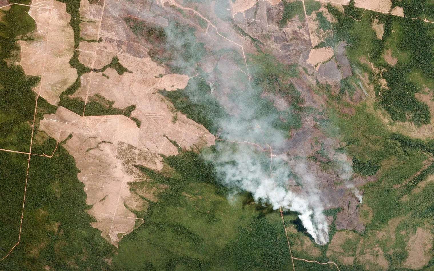 How AI, Drones and Virtual Reality Could Help Tackle the Amazon Fires