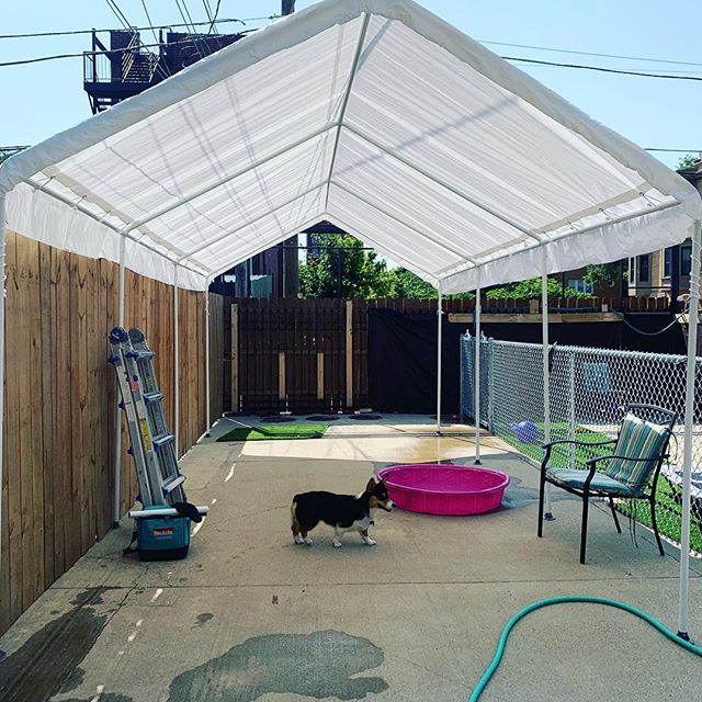 Yay...more shade for outdoor play! #westernwag #letsplay #chicagodogs #chicago