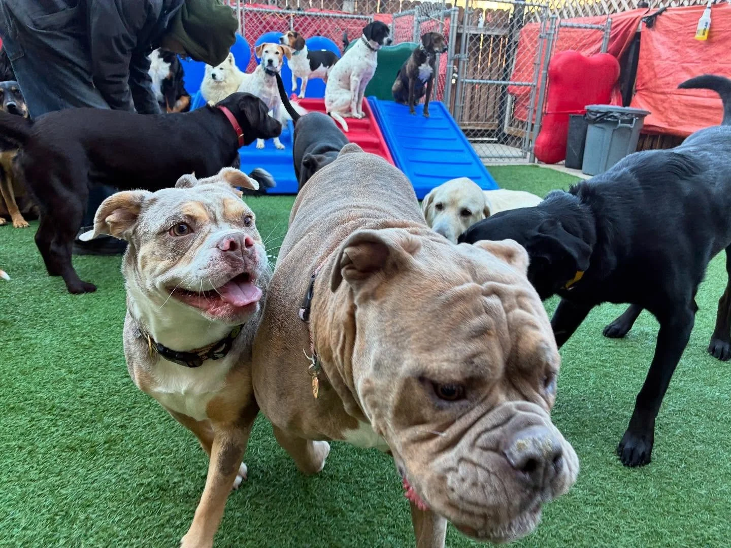 All good boys n girls @westernwagchi