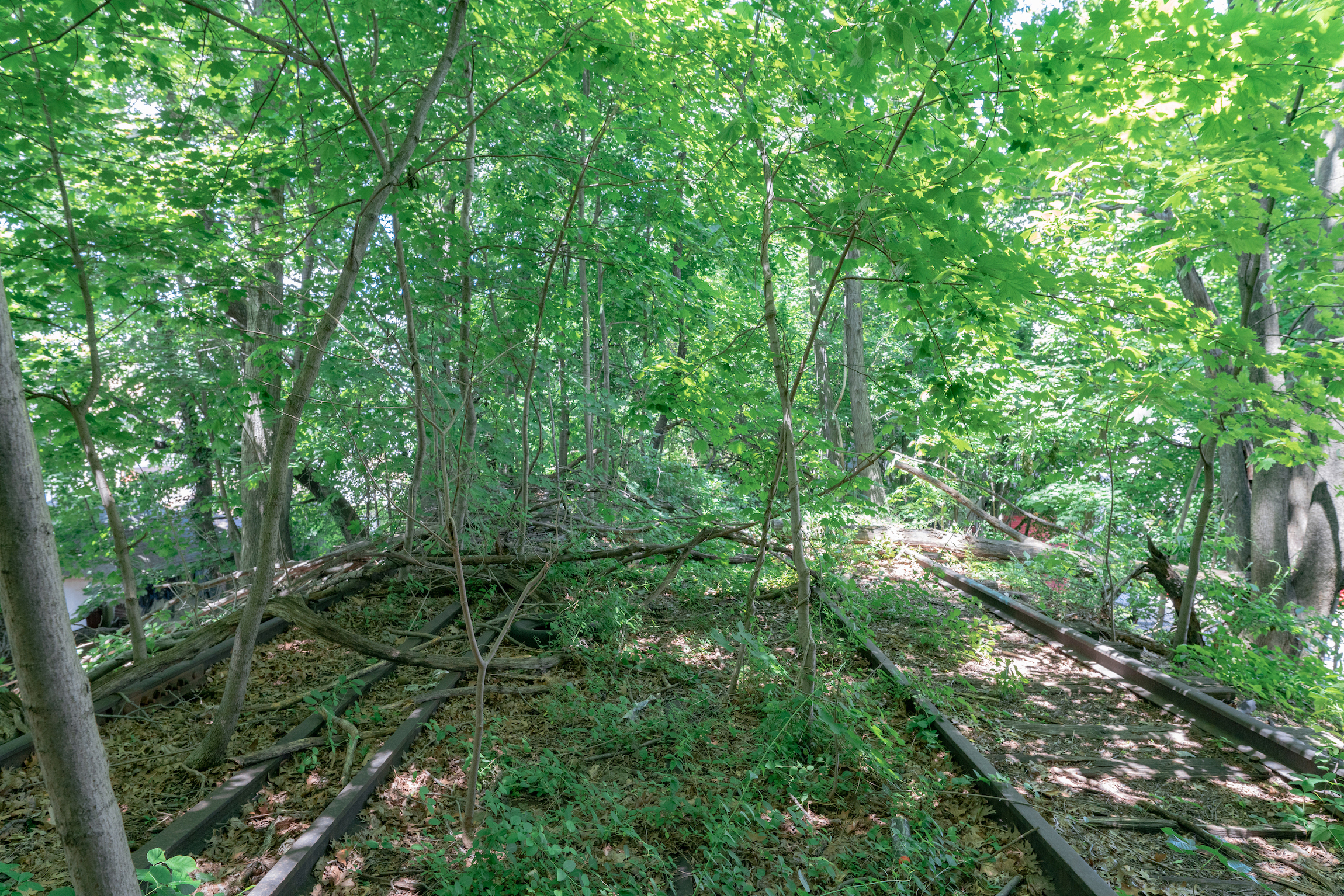 The abandoned Rockaway Beach branch ROW