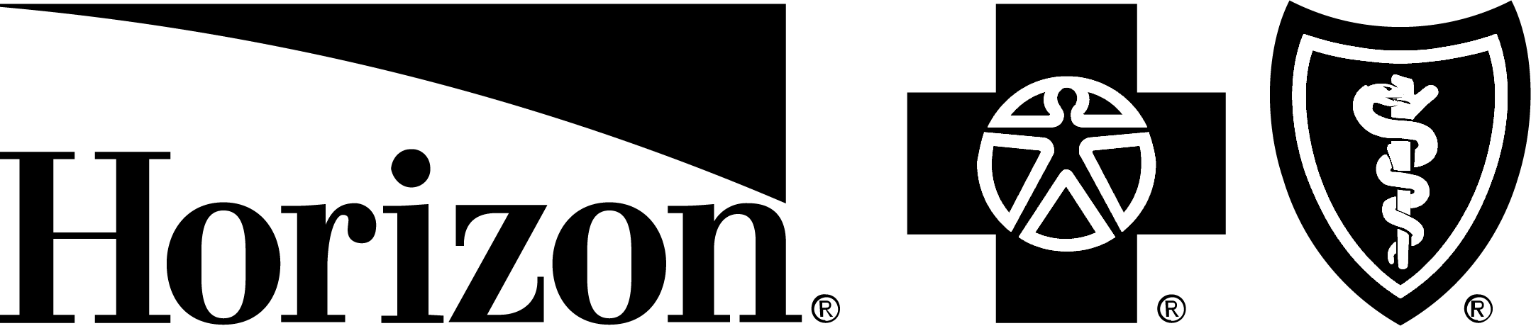 Black horizon logo png.png