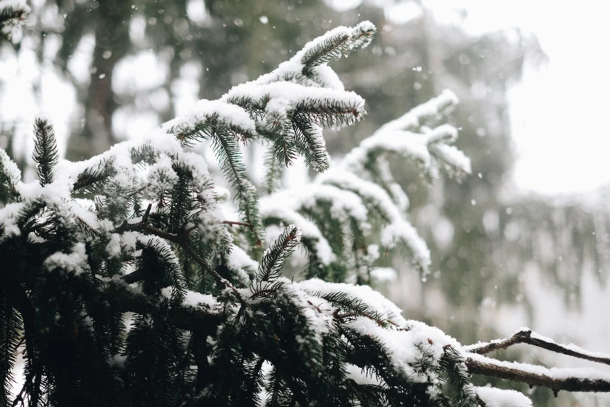 MD_OutdoorWinterActivities01.jpg