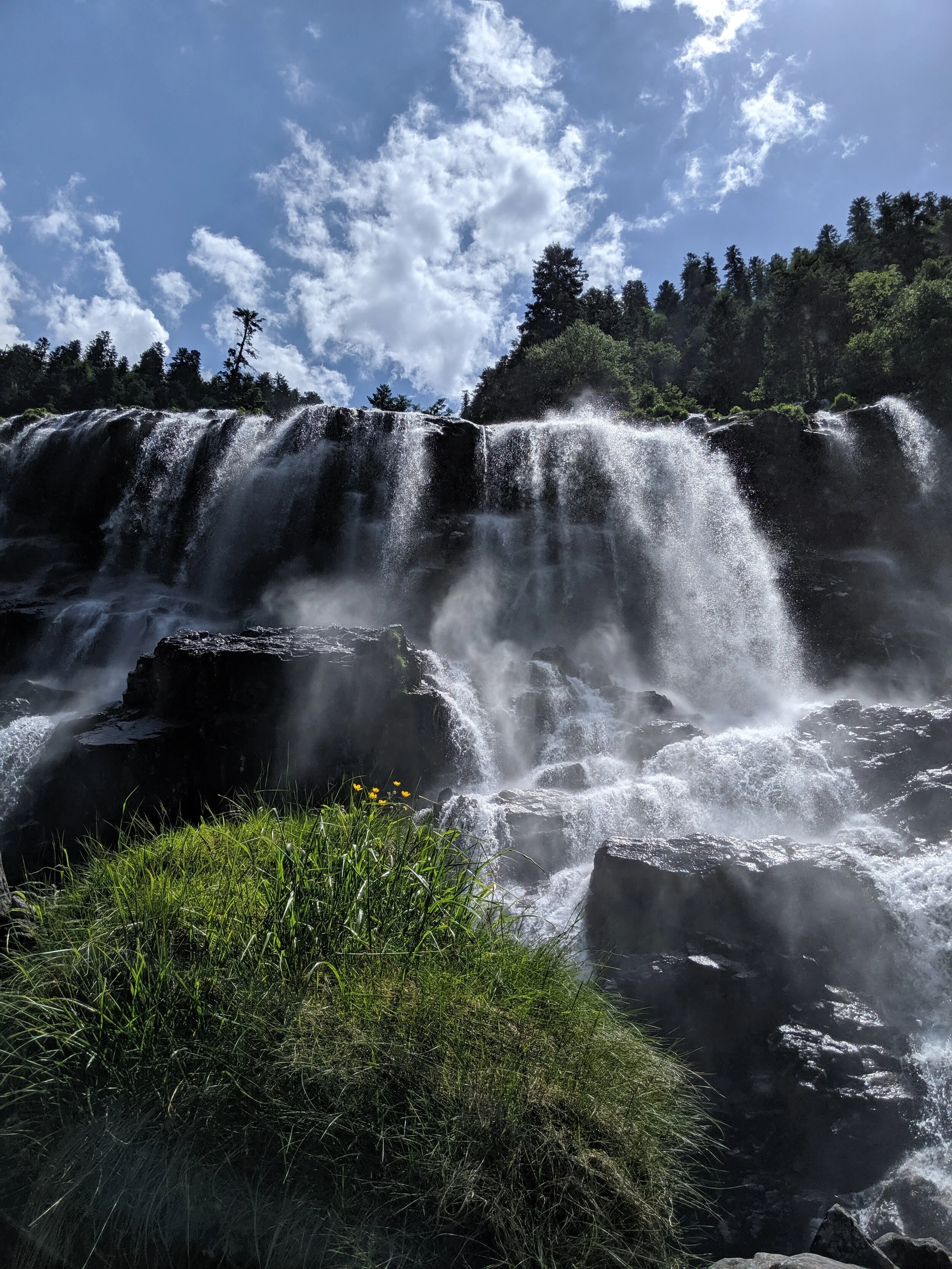 MVIMG_20190629_144257.jpg