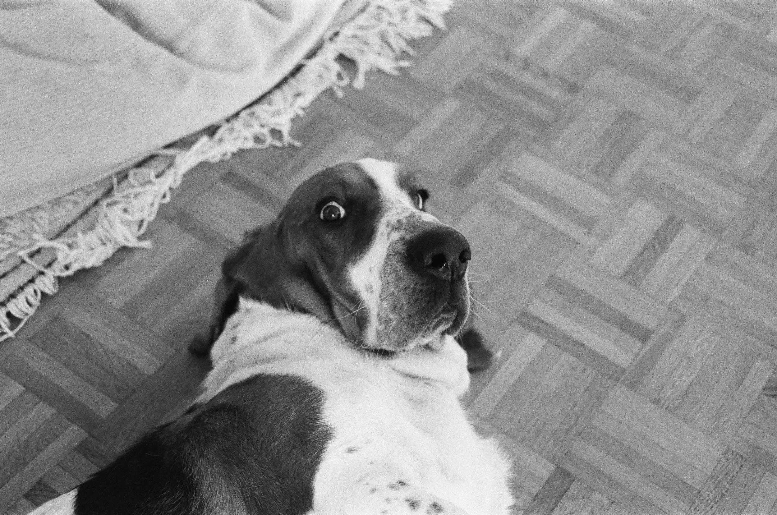 0005_32A001095660005.jpg