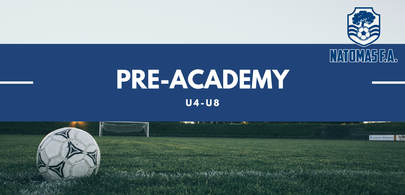 NFA Pre-Academy.png