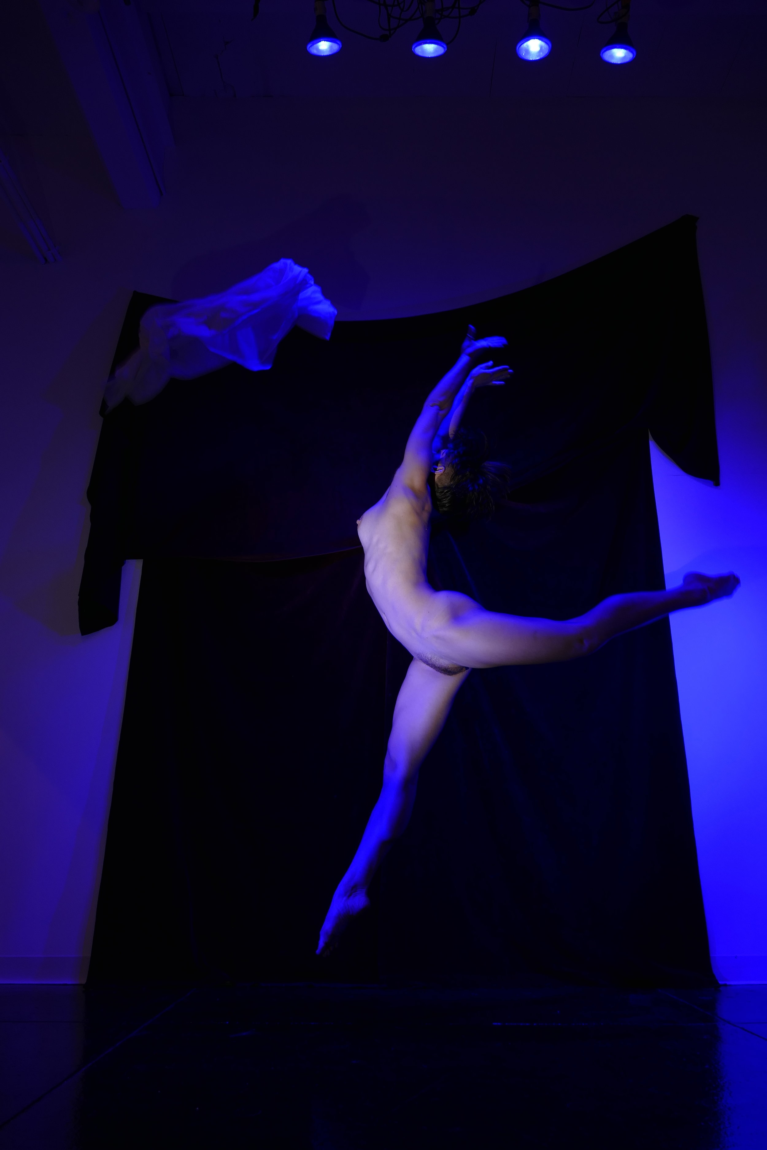 _1290424.jpg