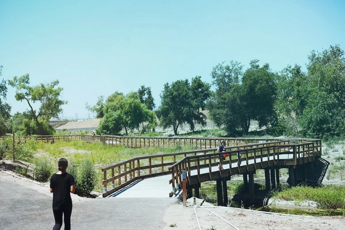 deforestpark2.jpg
