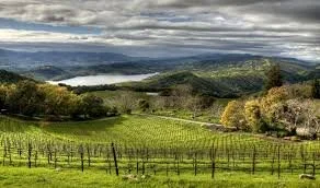 Chappellet Wine Dinner
