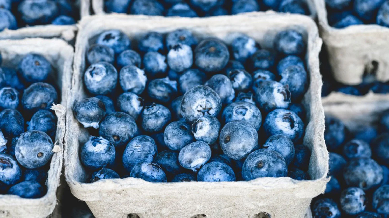 blueberries.jpg