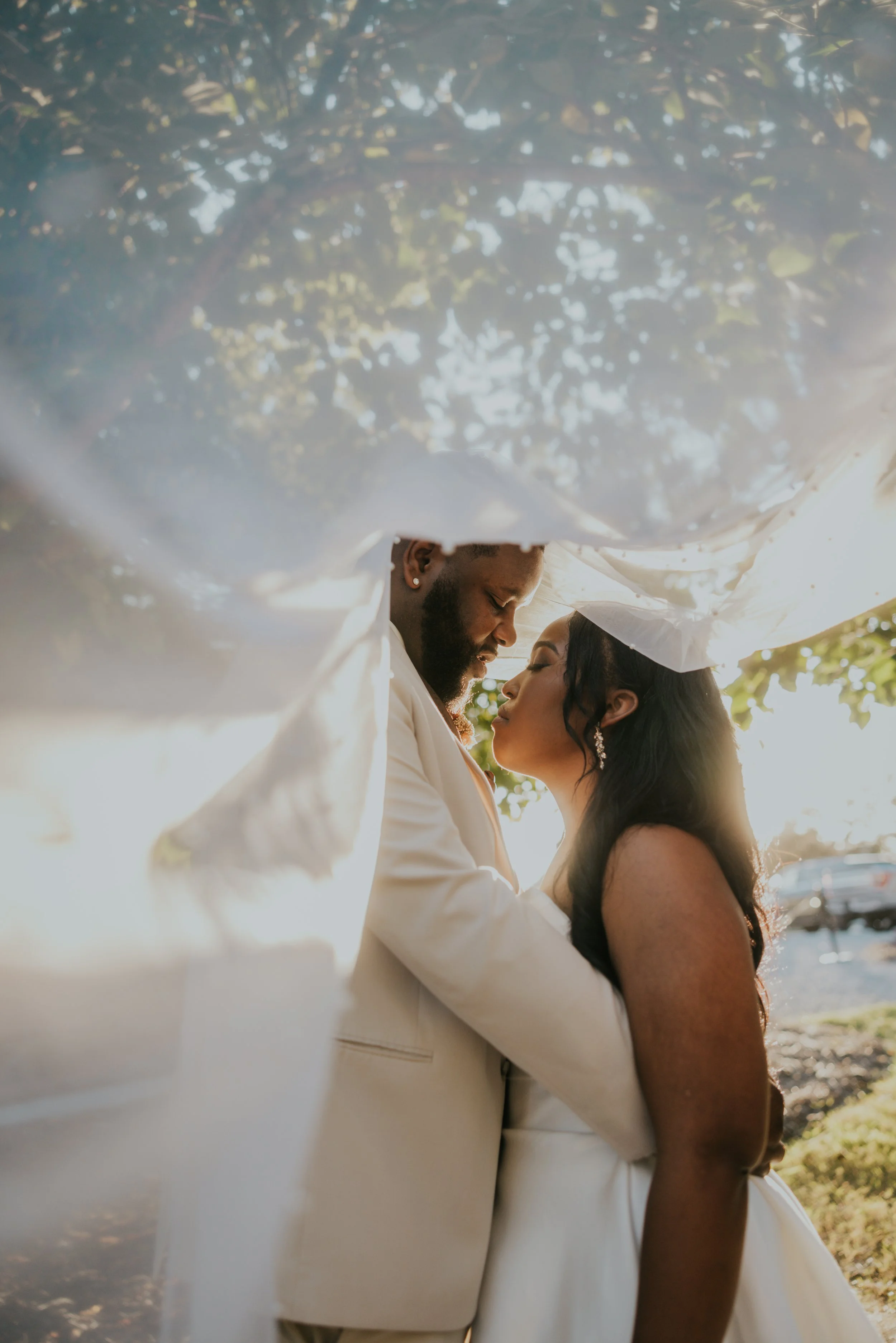 A bride and groom sharing a kiss under a white veil, with sunlight and greenery in the background.