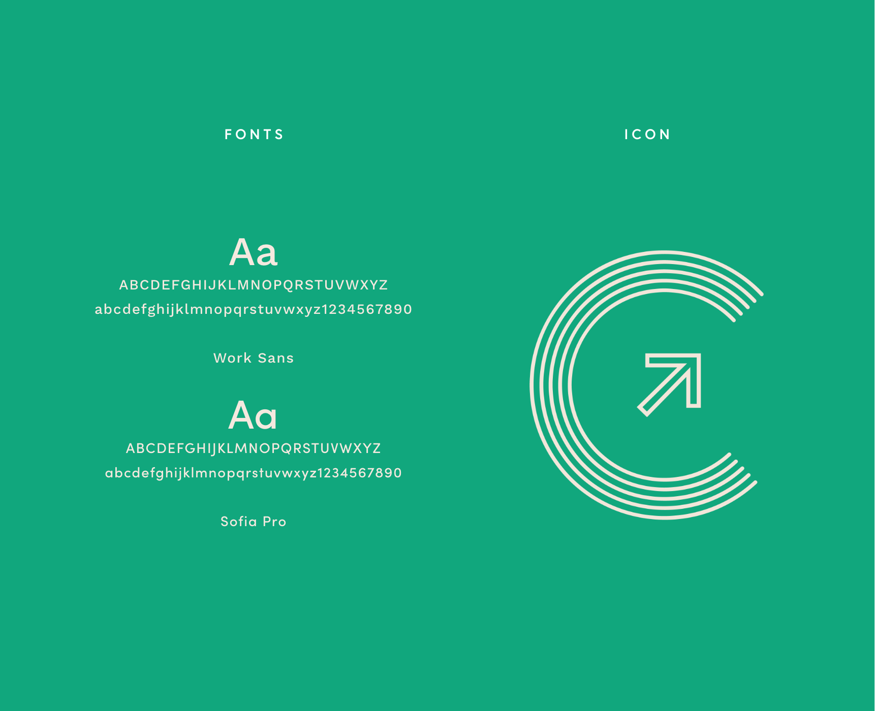 Conscious_Accounting_Fonts@2x.png