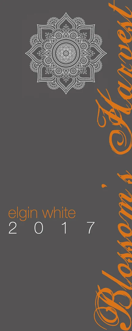 This fun project is for a budding winery in Utah. I designed their wine bottle labels for the 2016 & 2017 vintages. I’m excited to see what the 2018 harvest holds!