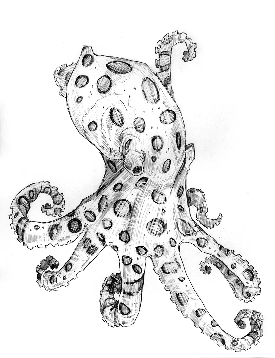 BR Octopus Sketch - banner.jpg