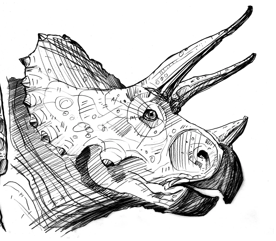 This handsome fella is the original sketch for a commissioned piece for a little boy’s room. He was not only excited about the painting, but he loved that I’m as big of a fan of Triceratops as he is! For more info on this piece and to acquire it for yourself, please contact me directly.
