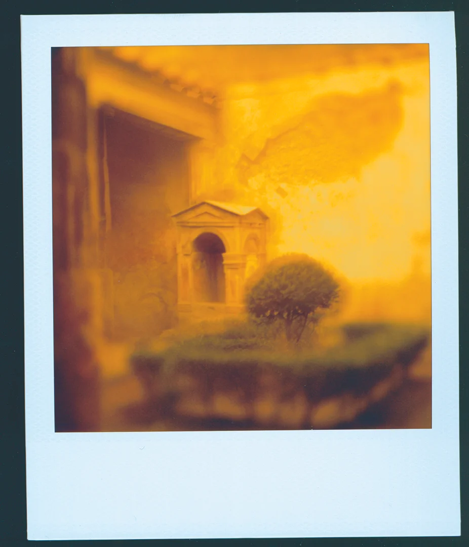 Title: POMPEII GARDEN This is inside one of the last standing buildings in Pompeii, Italy that I shot with an old SX-70 Land Camera. The garden is still intact and flourishing!